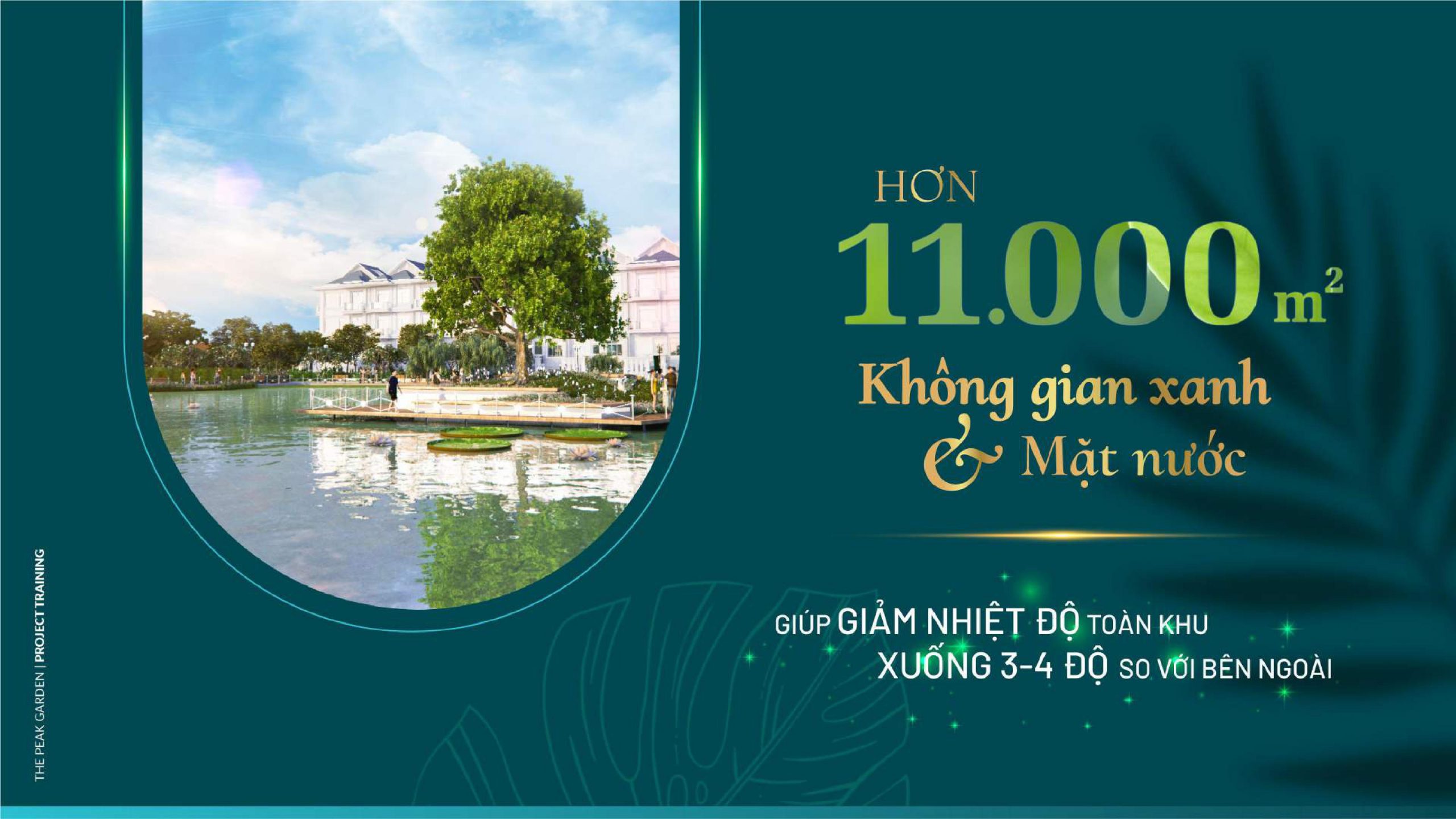 dự án căn hộ mới