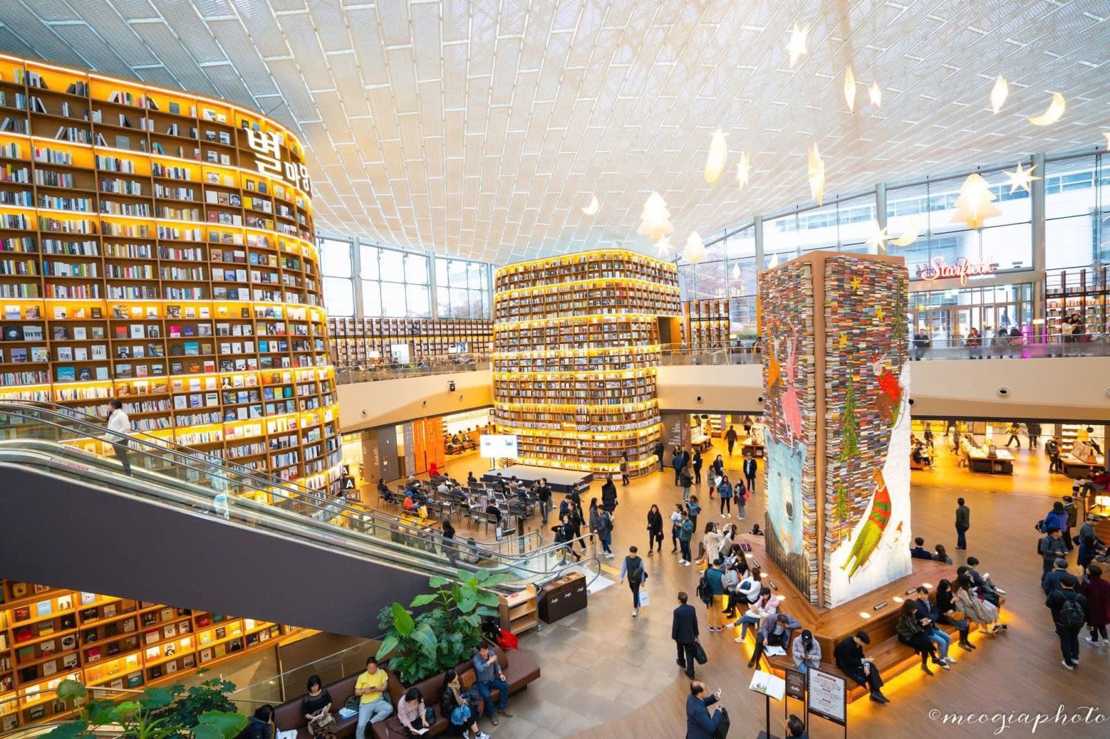 tour hàn quốc 2025